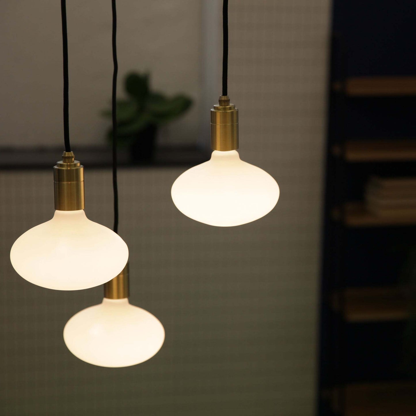 Oval 2700K LED Bulb