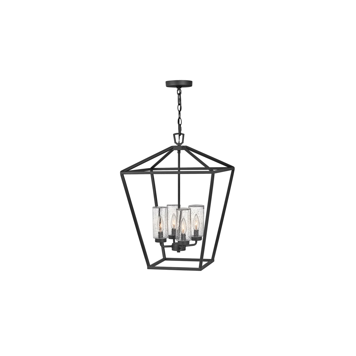 Alford Place 4-Light Outdoor Pendant in Museum Black