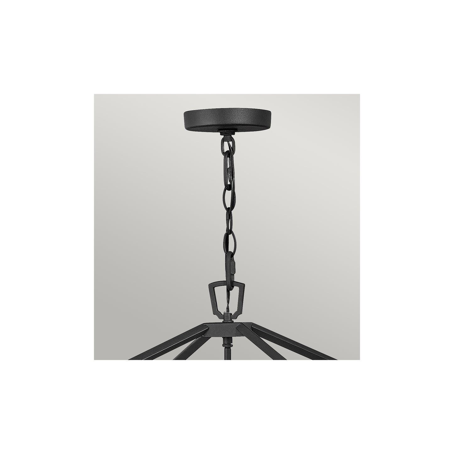 Alford Place 4-Light Outdoor Pendant in Museum Black