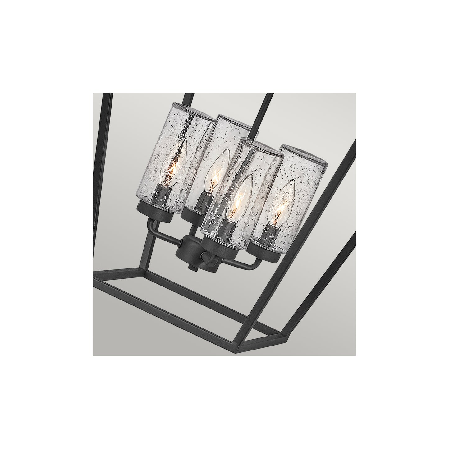 Alford Place 4-Light Outdoor Pendant in Museum Black