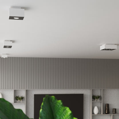 Sollux Mono Ceiling Light