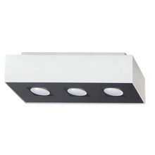 Mono 4 Ceiling Light
