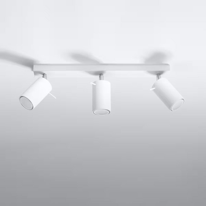 Ring 3 Ceiling Light