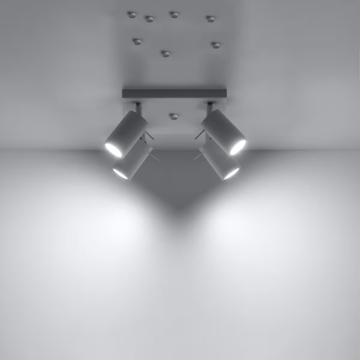 Ring 4 Ceiling Light