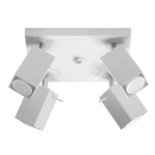 Merida 4 Ceiling Light