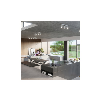 Merida 4 Ceiling Light