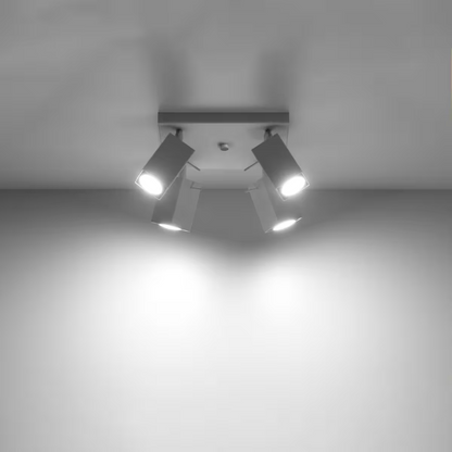 Merida 4 Ceiling Light