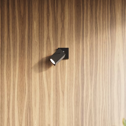 Merida 2 Ceiling Light