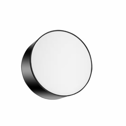 Arena Ceiling Light