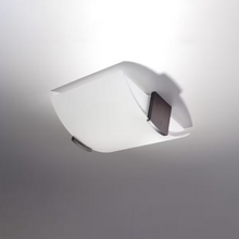 Emilio Ceiling Light in Wenge
