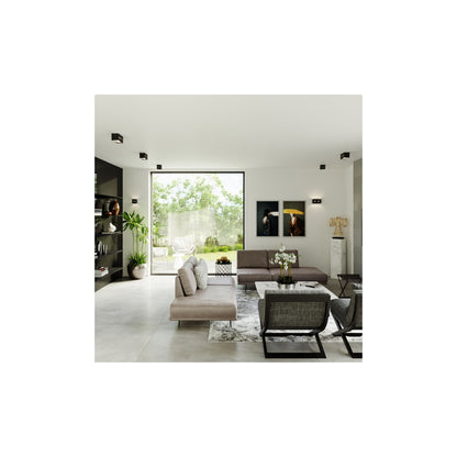 Lobo Ceiling Light