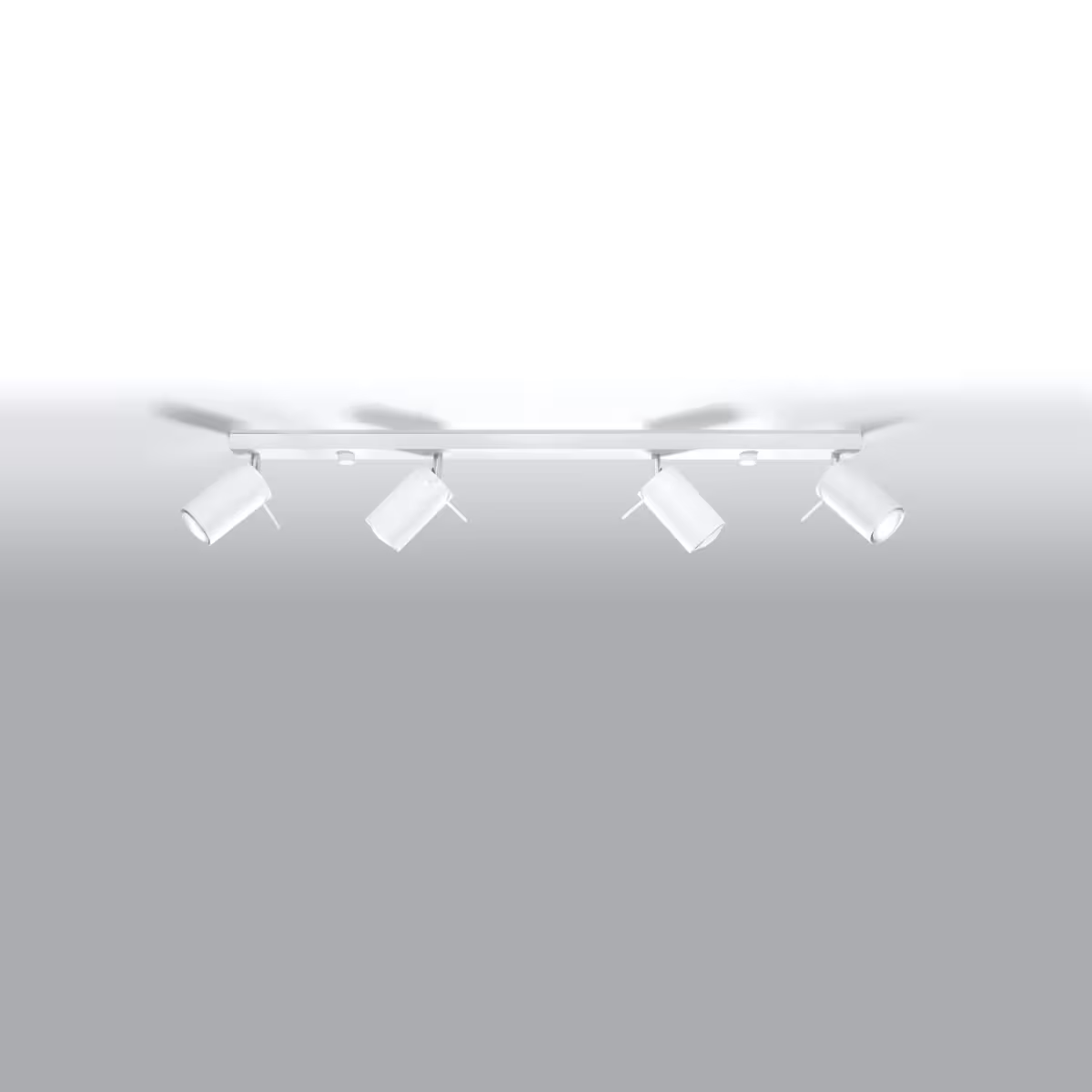 Ring 4L Ceiling Light