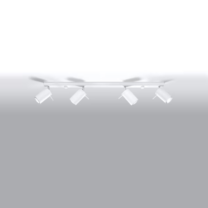 Ring 4L Ceiling Light