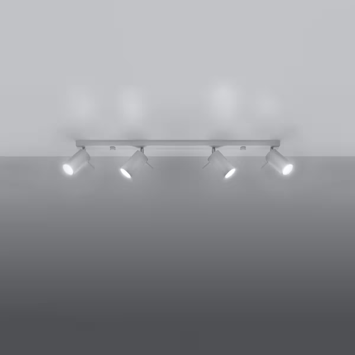 Ring 4L Ceiling Light