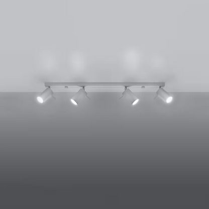 Ring 4L Ceiling Light