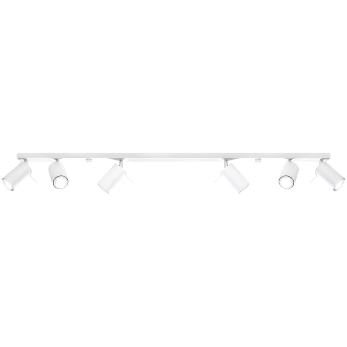 Ring 6L Ceiling Light