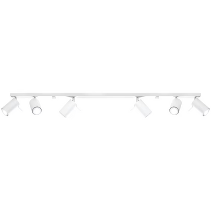 Ring 6L Ceiling Light
