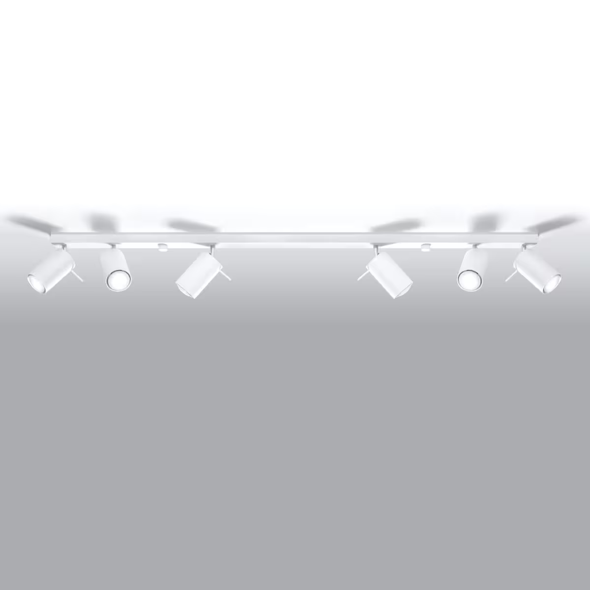 Ring 6L Ceiling Light