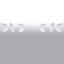 Ring 6L Ceiling Light