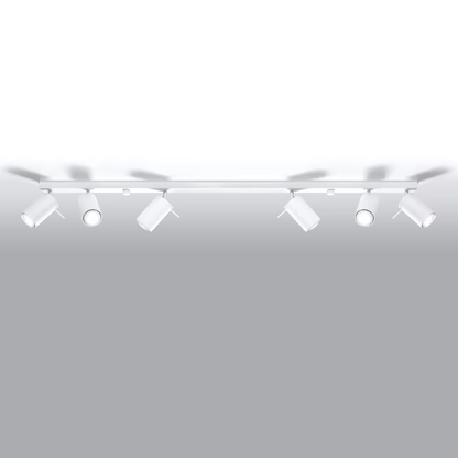 Ring 6L Ceiling Light