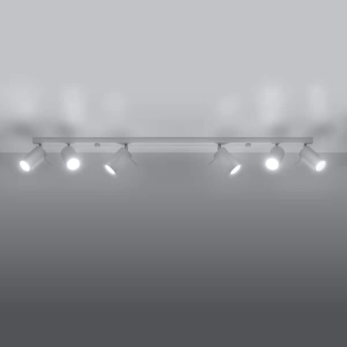 Ring 6L Ceiling Light