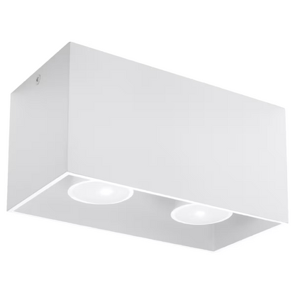 Quad 2-Light Ceiling Lamp