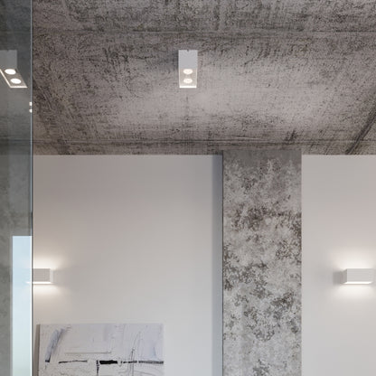 Quad 2-Light Ceiling Lamp
