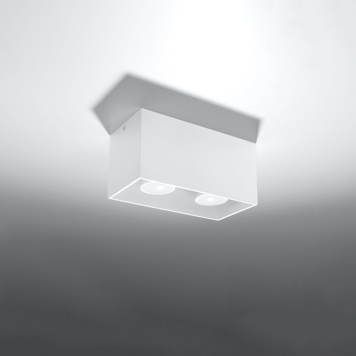 Quad 2-Light Ceiling Lamp
