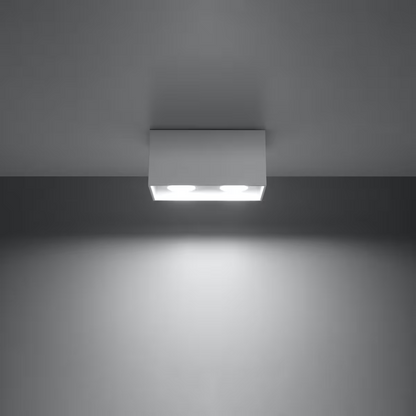 Quad 2-Light Ceiling Lamp