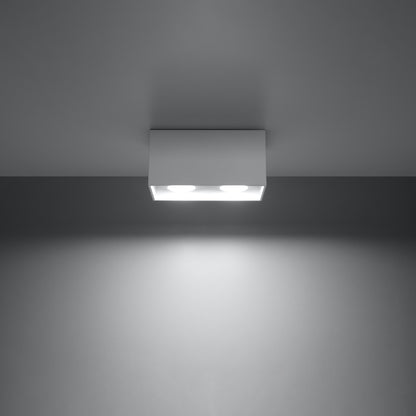 Quad 2-Light Ceiling Lamp