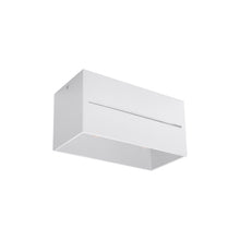Lobo 2 Ceiling Light