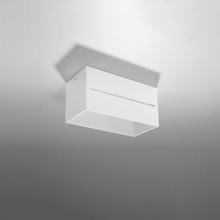 Lobo 2 Ceiling Light