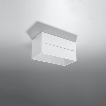 Lobo 2 Ceiling Light