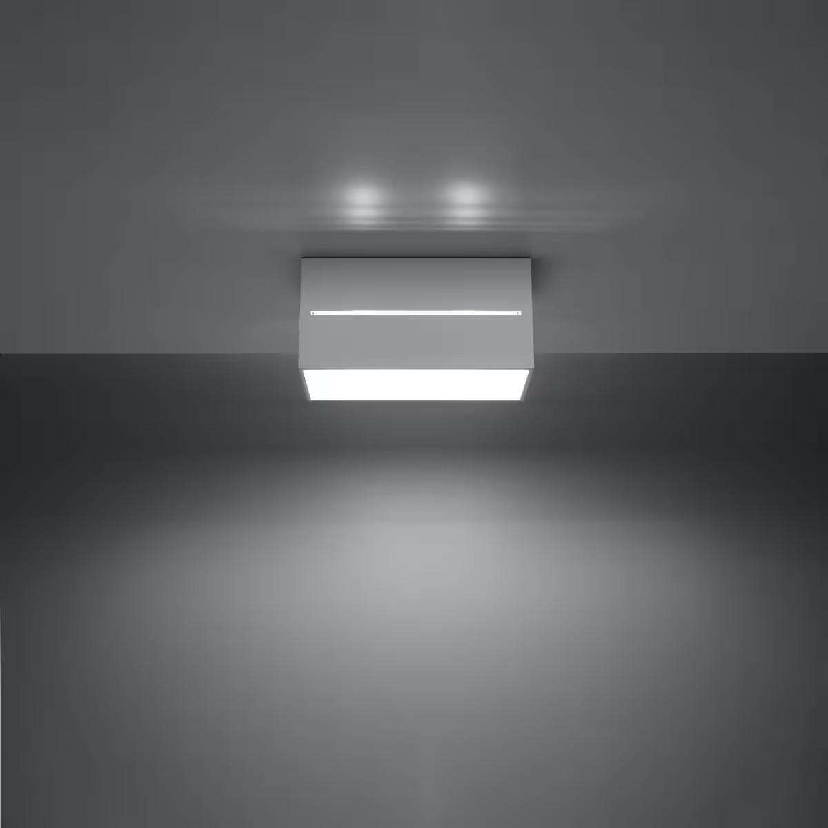Lobo 2 Ceiling Light
