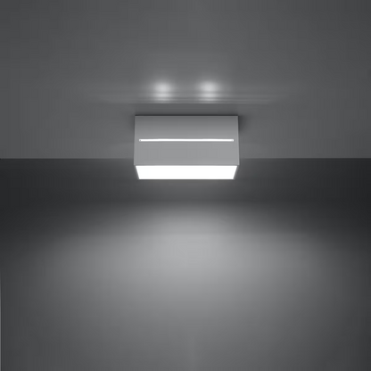 Lobo 2 Ceiling Light