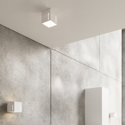 Pixar Ceiling Light