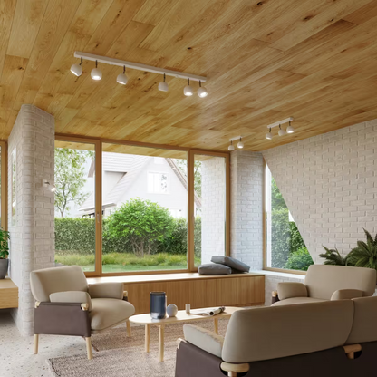 Oculare 2 Ceiling Light