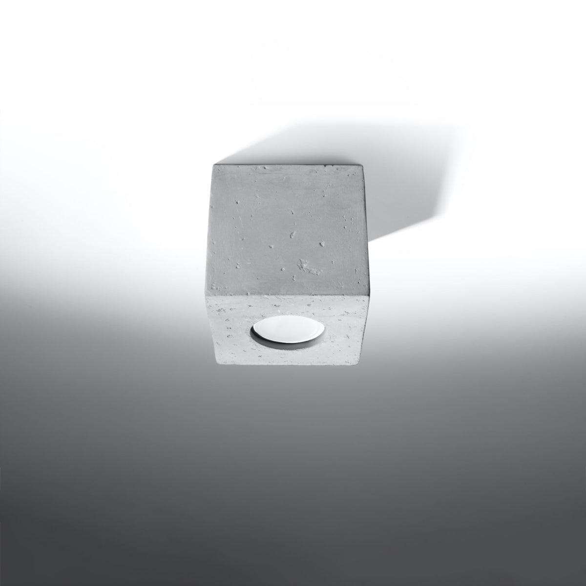 Quad Ceiling Light