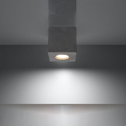 Quad Ceiling Light
