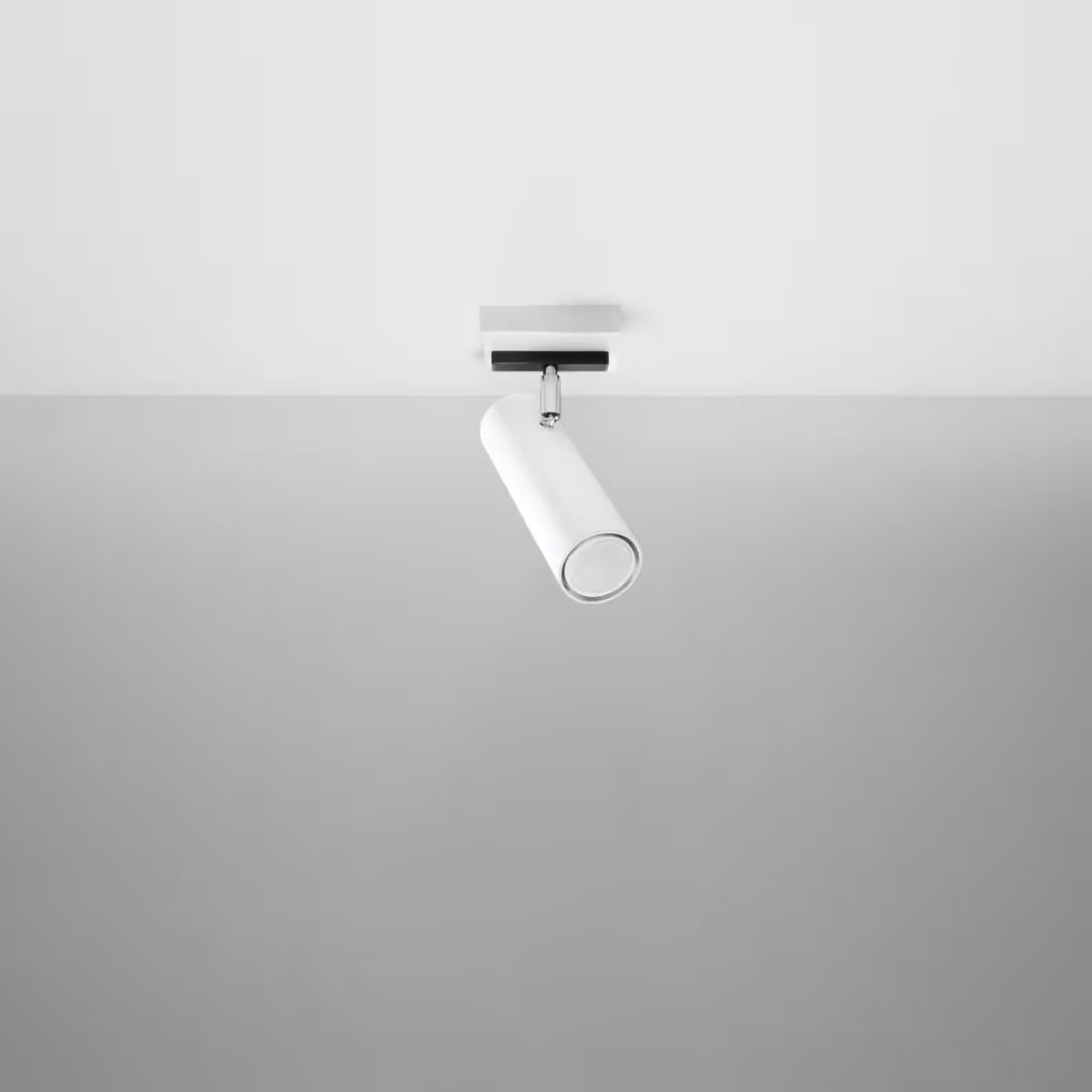 Direzione 1 Ceiling Light