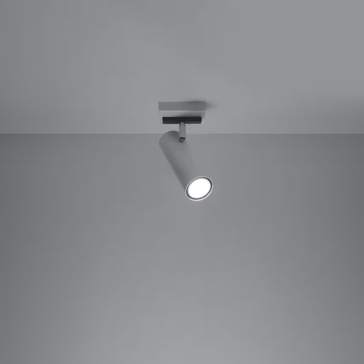 Direzione 1 Ceiling Light