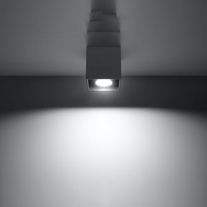 Quad 1 Ceiling Light