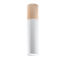 Pablo Ceiling Light
