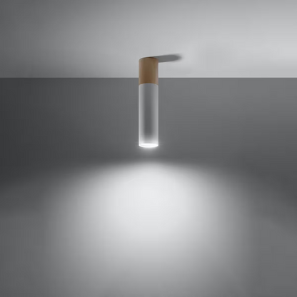 Pablo Ceiling Light