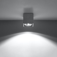 Valde Ceiling Light in Grey