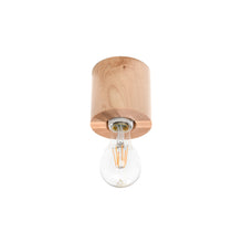 Salgado Ceiling Light