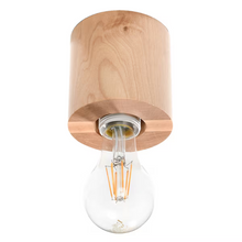 Salgado Ceiling Light