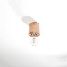 Salgado Ceiling Light