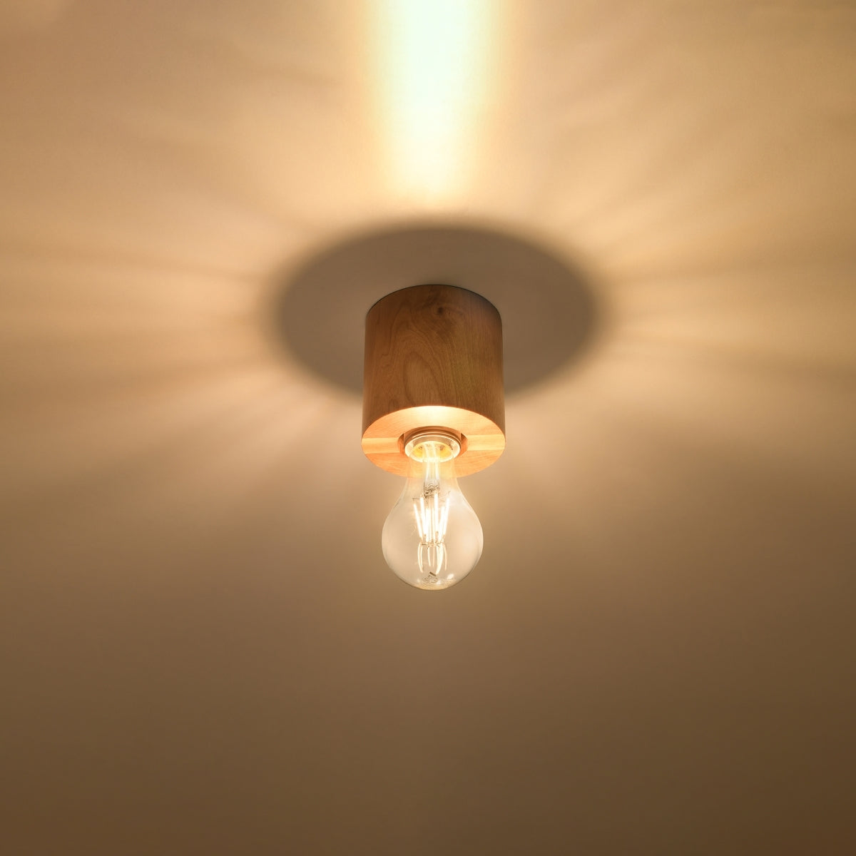 Sollux Salgado Surface Ceiling Light