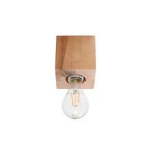 Ariz Ceiling Light